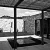  Patiotag